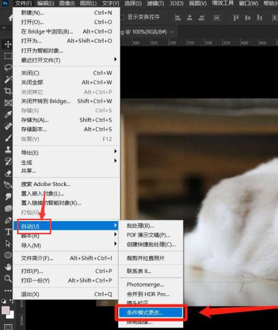 ps如何切换条件模式-ps切换条件模式的操作方法 www.qinpinchang.com