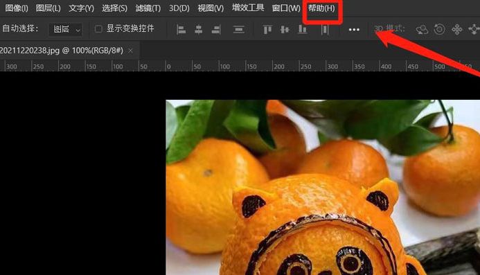 ps怎么打开用户指南-ps打开用户指南的方法 www.qinpinchang.com