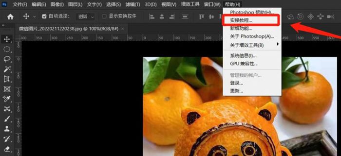 ps怎么打开用户指南-ps打开用户指南的方法 www.qinpinchang.com
