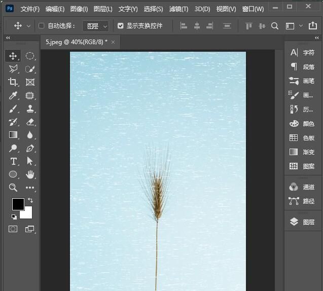 ps2021图片怎么制作铜版雕刻效果-ps2021制作铜版雕刻效果方法 www.qinpinchang.com