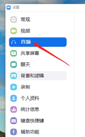Zoom怎么更改音频模式-Zoom更改音频模式的操作方法 www.qinpinchang.com