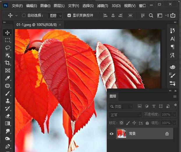 ps2021怎么删除背景-ps2021删除背景的操作方法 www.qinpinchang.com