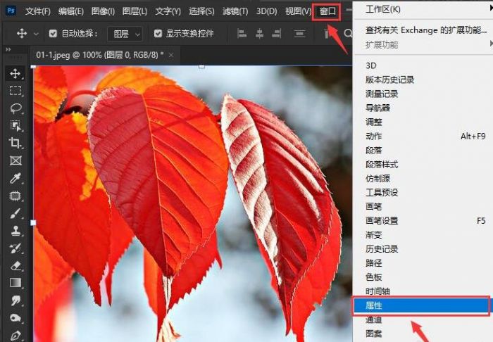 ps2021怎么删除背景-ps2021删除背景的操作方法 www.qinpinchang.com