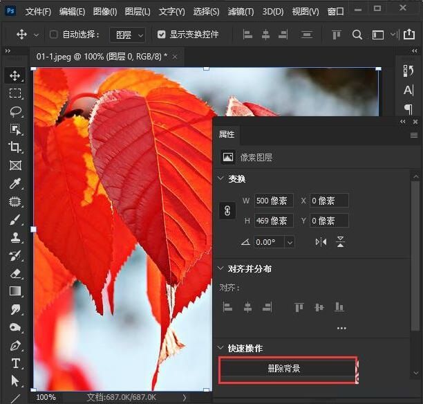ps2021怎么删除背景-ps2021删除背景的操作方法 www.qinpinchang.com