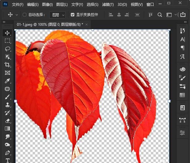 ps2021怎么删除背景-ps2021删除背景的操作方法 www.qinpinchang.com