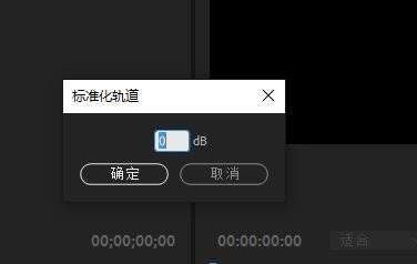 Pr怎么添加标准化轨道-Pr添加标准化轨道的方法 www.qinpinchang.com