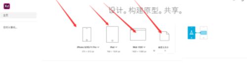 Adobe XD怎么放大画布-Adobe XD放大画布的方法 www.qinpinchang.com