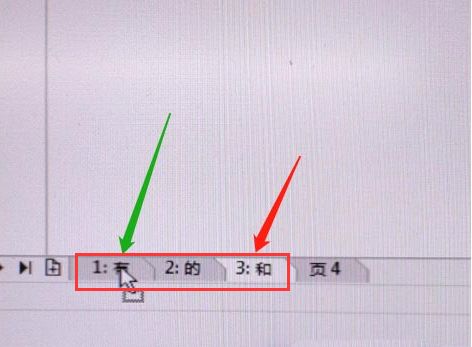CDR怎么设置页面自定义排序-CDR设置页面自定义排序方法 www.qinpinchang.com