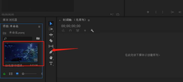Pr怎么为视频添加缩略图-Pr为视频添加缩略图的方法 www.qinpinchang.com