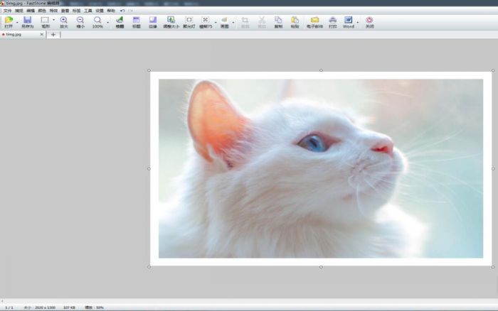 FastStone Capture怎么给图片添加画框-添加画框方法 www.qinpinchang.com