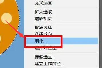 ps怎么制作图片外轮廓羽化效果-ps制作图片外轮廓羽化效果教程 www.qinpinchang.com