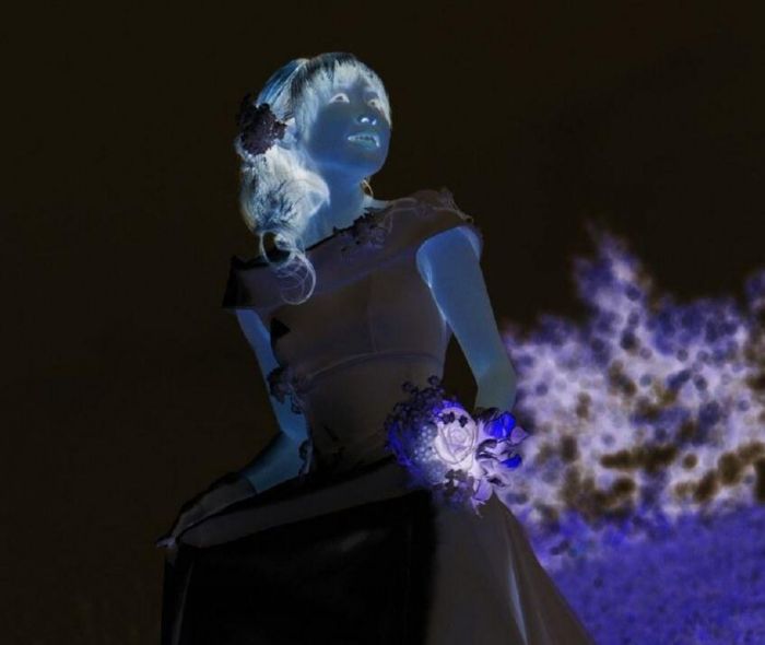 FastStone Capture如何将照片做成底片-将照片做成底片方法 www.qinpinchang.com