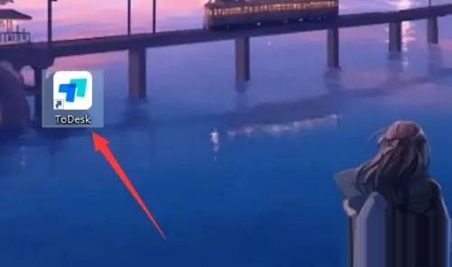 todesk怎么设置简体中文-todesk设置简体中文的方法 www.qinpinchang.com