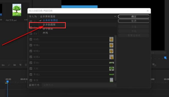 Pr怎么合并psd文件-Pr合并psd文件的方法 www.qinpinchang.com