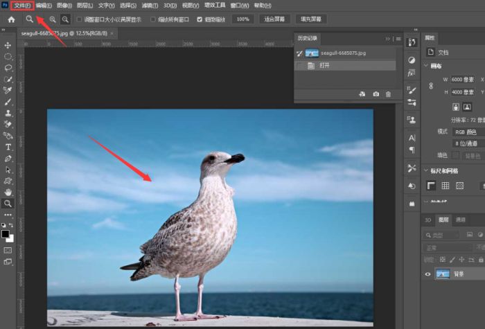ps图形怎么转路径-ps图形转路径的方法介绍 www.qinpinchang.com