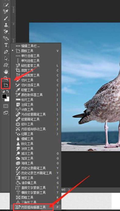 ps图形怎么转路径-ps图形转路径的方法介绍 www.qinpinchang.com