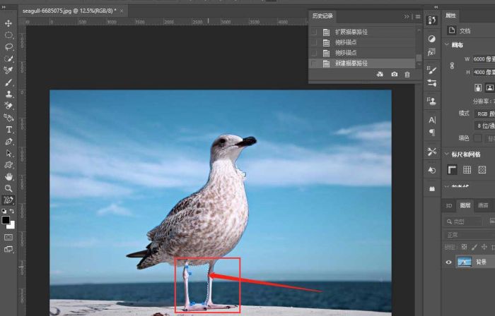 ps图形怎么转路径-ps图形转路径的方法介绍 www.qinpinchang.com