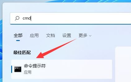 Windows11怎么清理指定驱动器-Windows11清理指定驱动器方法 www.qinpinchang.com
