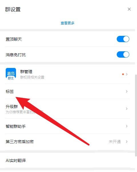 钉钉怎么将群名添加标签备注-钉钉将群名添加标签备注方法 www.qinpinchang.com