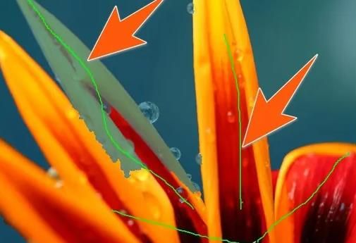 光影魔术手如何抠图-光影魔术手抠图教程 www.qinpinchang.com