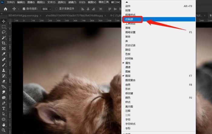 ps怎么设置仿制源模式-ps设置仿制源模式的步骤 www.qinpinchang.com