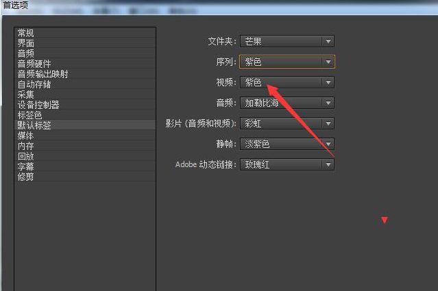 Pr如何设置彩虹色标签-Pr设置彩虹色标签的方法 www.qinpinchang.com
