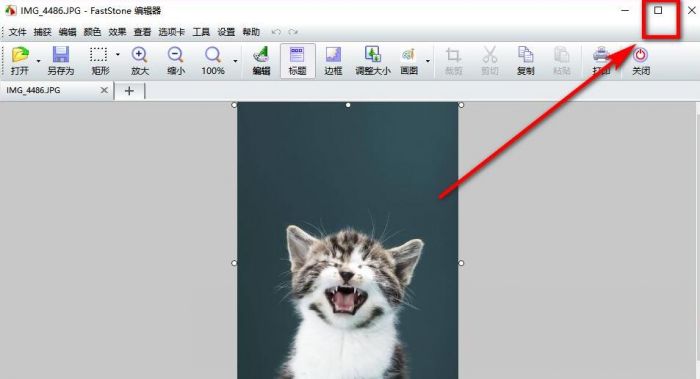 FastStone Capture怎么打马赛克-给图片打马赛克方法 www.qinpinchang.com