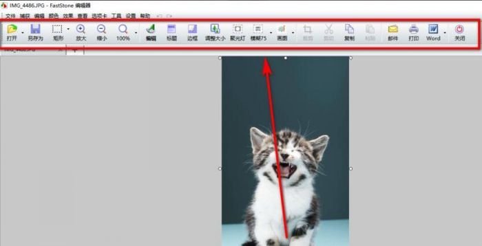 FastStone Capture怎么打马赛克-给图片打马赛克方法 www.qinpinchang.com