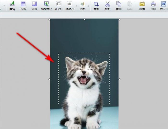 FastStone Capture怎么打马赛克-给图片打马赛克方法 www.qinpinchang.com