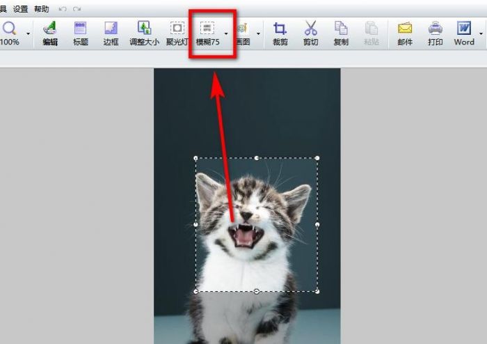 FastStone Capture怎么打马赛克-给图片打马赛克方法 www.qinpinchang.com