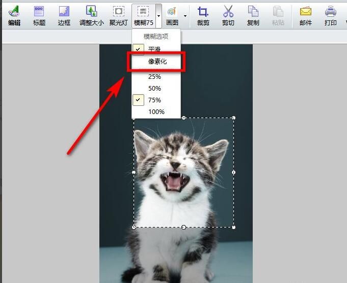 FastStone Capture怎么打马赛克-给图片打马赛克方法 www.qinpinchang.com