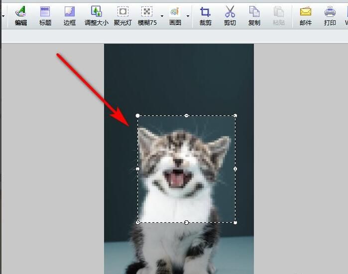 FastStone Capture怎么打马赛克-给图片打马赛克方法 www.qinpinchang.com
