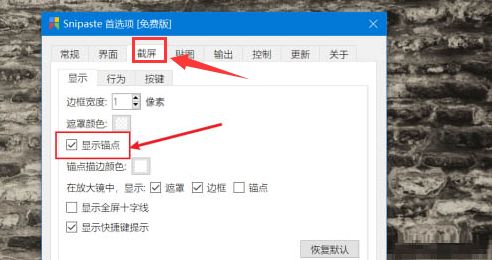 Snipaste怎么开启截屏锚点显示-Snipaste开启截屏锚点显示方法 www.qinpinchang.com