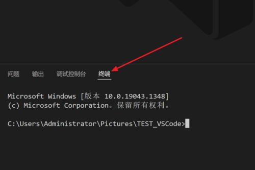 VSCode怎么拆分终端-VSCode拆分终端的方法 www.qinpinchang.com
