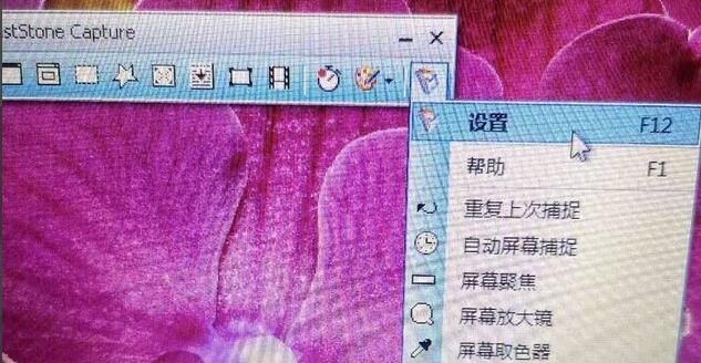 FastStone Capture怎么设置延迟捕捉-设置延迟捕捉方法 www.qinpinchang.com