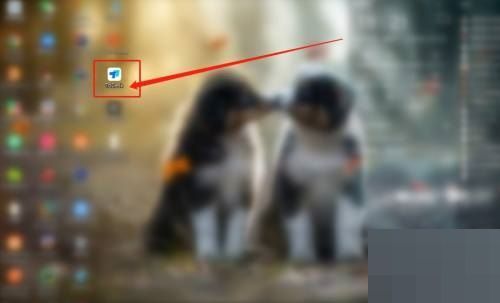 Todesk如何查看版本号-Todesk查看版本号的方法 www.qinpinchang.com