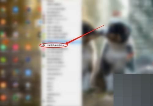 Todesk如何查看版本号-Todesk查看版本号的方法 www.qinpinchang.com