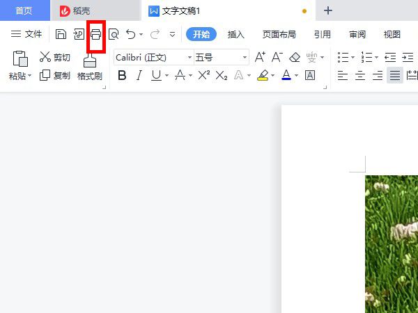 wps怎么打印固定文档页-wps打印固定文档页方法 www.qinpinchang.com