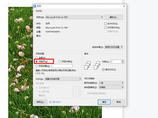 wps怎么打印固定文档页-wps打印固定文档页方法 www.qinpinchang.com