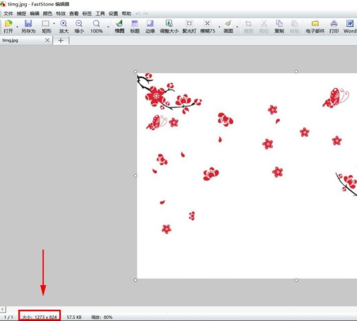 FastStone Capture怎么扩展画布大小-扩展画布大小方法 www.qinpinchang.com