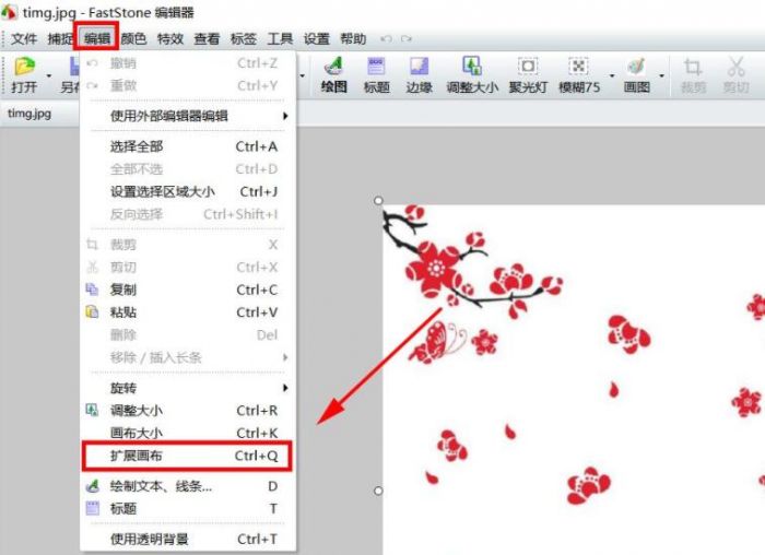 FastStone Capture怎么扩展画布大小-扩展画布大小方法 www.qinpinchang.com