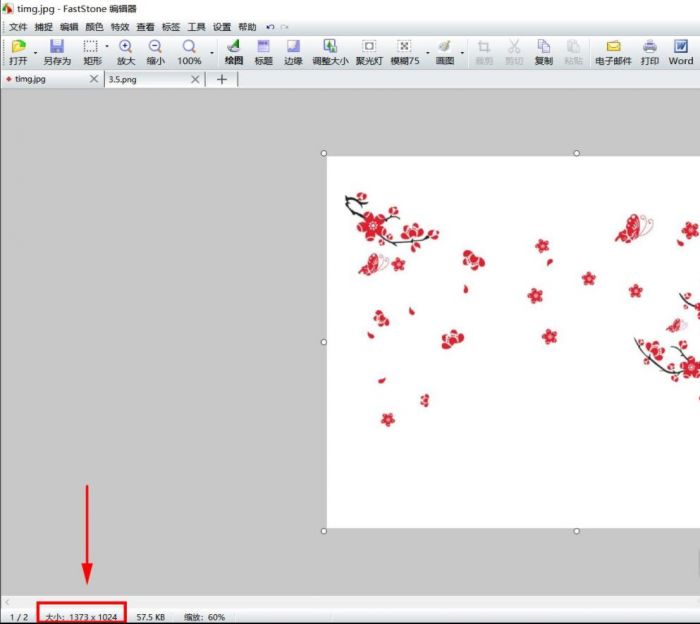 FastStone Capture怎么扩展画布大小-扩展画布大小方法 www.qinpinchang.com