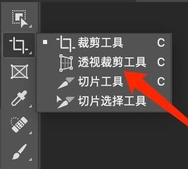 ps2021怎么剪裁图形-ps2021剪裁图形的方法介绍 www.qinpinchang.com