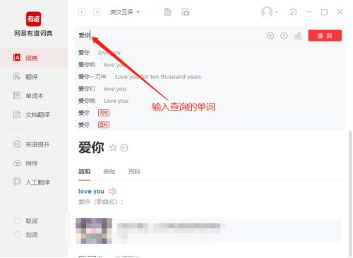 有道词典如何查询单词-有道词典查询单词教程 www.qinpinchang.com