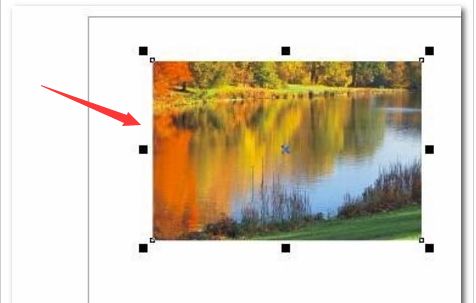 CDR怎么调节图片不透明度-CDR调节图片不透明度教程 www.qinpinchang.com