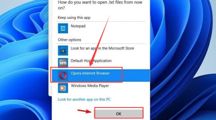 windows11默认打开方式怎么改？windows11更改应用程序属性方法介绍 www.qinpinchang.com