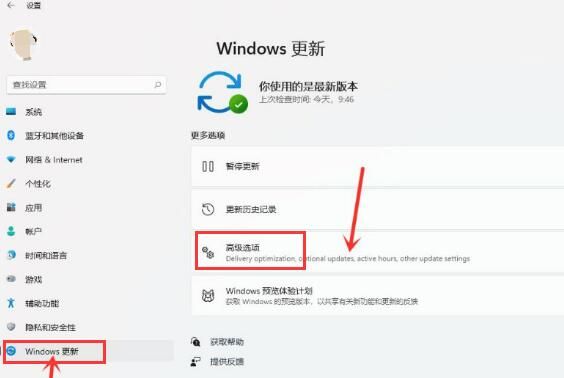 Windows11怎么开启传递优化功能-Windows11开启传递优化功能方法 www.qinpinchang.com