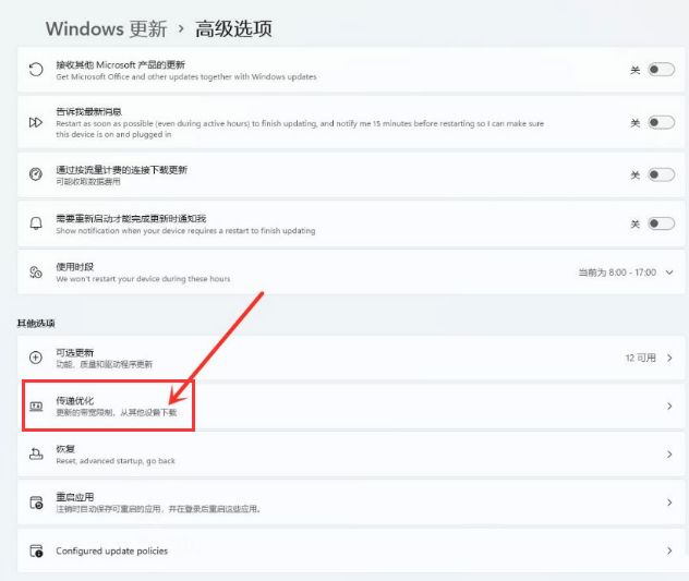 Windows11怎么开启传递优化功能-Windows11开启传递优化功能方法 www.qinpinchang.com