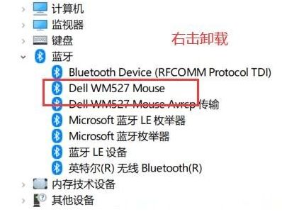 Windows10怎么删除隐藏蓝牙设备-删除隐藏蓝牙设备的方法 www.qinpinchang.com