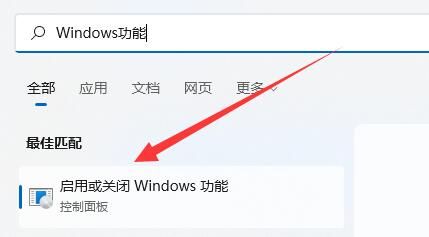 雷电模拟器导致电脑蓝屏怎么办-雷电模拟器导致电脑蓝屏解决办法 www.qinpinchang.com